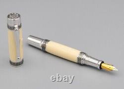 Celluloid Nitrate Rhodium and Black Titanium Fountain Pen Medium German Nib