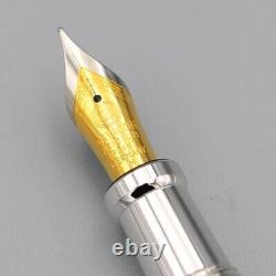 Celluloid Nitrate Rhodium and Black Titanium Fountain Pen Medium German Nib