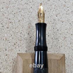 Good Year Pen Co Black Chased Hard Rubber Coin Filler 14K #4 NIB Fountain Pen