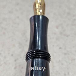 Good Year Pen Co Black Chased Hard Rubber Coin Filler 14K #4 NIB Fountain Pen