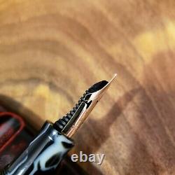 Leonardo Momento Magico Fountain Pen Wild Celluloid