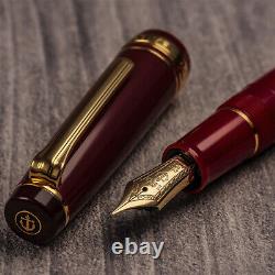 New Rare Sailor Professional Gear Special Edition Kanreki 60th Year Fountain Pen