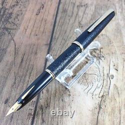 PLATINUM 18K BLACK LEATHER FOUNTAIN PEN VINTAGE Nib F GOLD JAPAN MADE A205