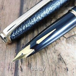 PLATINUM 18K BLACK LEATHER FOUNTAIN PEN VINTAGE Nib F GOLD JAPAN MADE A205