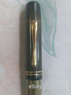 Pelikan 100 Fountain Pen, 14K Gold Fine Point