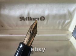 Pelikan Pen Fountain Pen Plunger Pen (M) With Box, Green Black Vintage