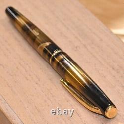 Pilot Fountain Pen Black Lacquer Gold Accents Maki-e kokkoukai Chiyama K18 Rare
