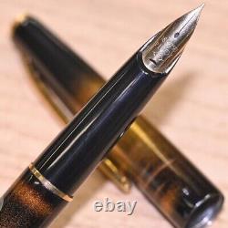 Pilot Fountain Pen Black Lacquer Gold Accents Maki-e kokkoukai Chiyama K18 Rare