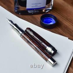 Pineider Arco Limited Edition Fountain Pen