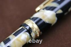 Platinum #3776 Black and Pearl Celluloid Fountain Pen UNUSED