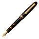 Platinum #3776 Celluloid Fountain Pen Tortoiseshell Broad Nib Ptb-35000s#62-4