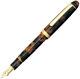 Platinum #3776 Century Celluloid Tortoise Fountain Pen Broad Nib Ptb-35000s#62-4