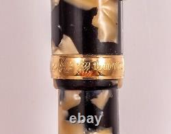 Platinum 3776 Celluloid Fountain Pen Ishigaki MEDIUM 18K Old model black & pearl