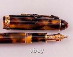 Platinum Fountain Pen 3776 Celluloid Tortoise Shell Color 18K Gold B Mint NOS