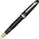 Sailor Profit 21 Fountain Pen Black Medium Fine Nib 11-2021-320