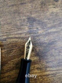 Stipula 20 LIMITED Gem Raden Fountain Pen Japanese Artist Signiture