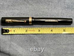 Swan 46 Eternal Fountain Pen Flexible Nib