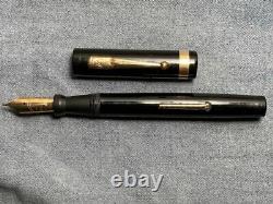 Swan 46 Eternal Fountain Pen Flexible Nib