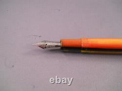 Think Orange and Black Fountain pen-medium point
