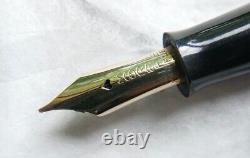 Vintage 1930's Moore Maniflex Fountain Pen 14k Gold Nib (Amazing Celluloid) WORK