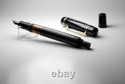 Vintage Black Chased Tiger Gold Fountain Pen-14K Gold B Nib-Germany 1950s