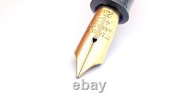 Vintage Stephens No 21 Fountain Pen In Black Chased 14k Oblique Medium Nib