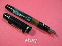 Vtg Pelikan 100n Fountain Pen VERY CLEAN! 14k. 585 Gold Nib New Piston Green