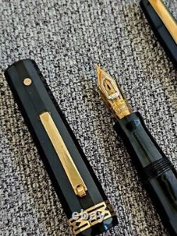 Wahl Eversharp Doric Oversize Adjustable Nib 10 Black Set