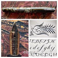 Waterman 3v Fountain Pen with 14k Gold Flexible Nib - F to BBB