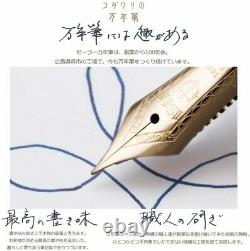 Marin Shikiori Fountain Pen Fairy Tale Dragon Palace Mf Nib 11-1227-301