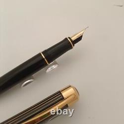 Stylo Plume Pelikan P3110 Ductus Noir avec Accents Dorés