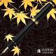 Stylo-plume Pilot Namiki Custom Urushi Noir Avec Plume Moyenne Fkv-88sr-b-m