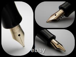 Stylo plume vintage en or avec tigre chassé noir - Nib B en or 14K - Allemagne années 1950